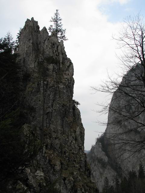 Resize of mac_B-V 172