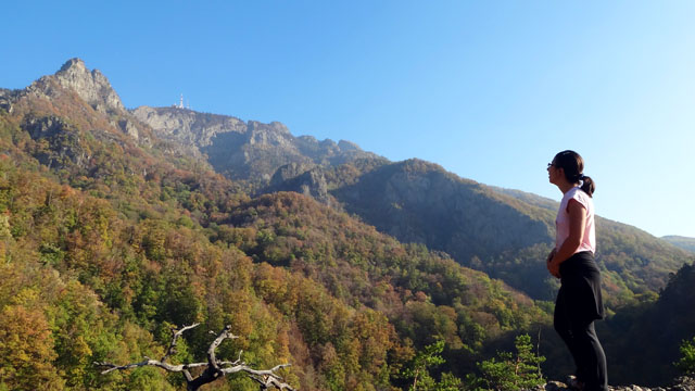 Coltii Foarfecii _blog 02