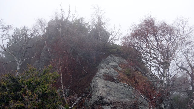 Coltii Foarfecii _blog 08