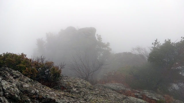 Coltii Foarfecii _blog 09