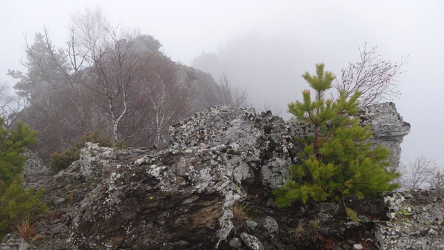 Coltii Foarfecii _blog 11