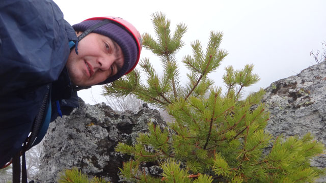 Coltii Foarfecii _blog 13