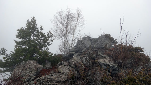 Coltii Foarfecii _blog 14