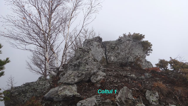 Coltii Foarfecii _blog 15