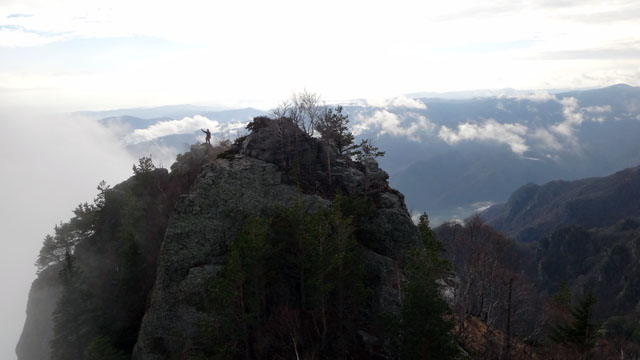 Coltii Foarfecii _blog 20