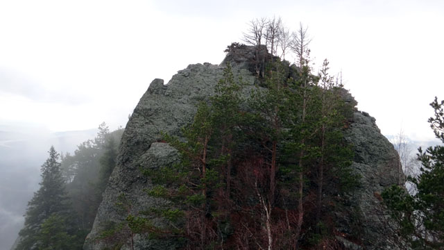 Coltii Foarfecii _blog 22