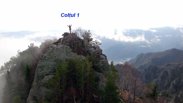 Coltii Foarfecii _blog 24