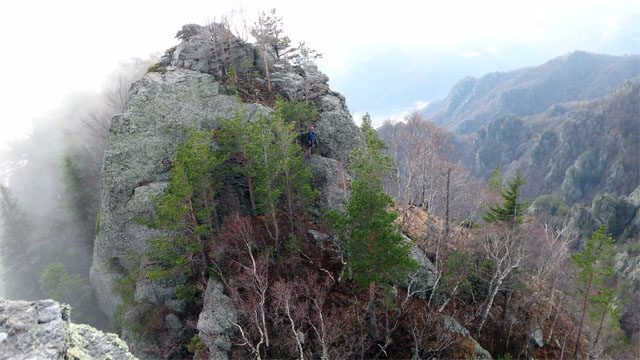 Coltii Foarfecii _blog 26