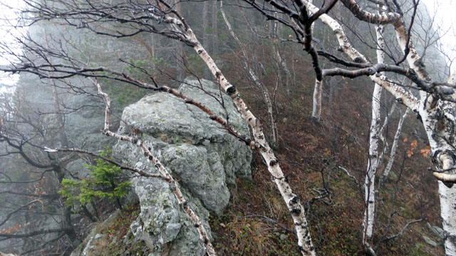 Coltii Foarfecii _blog 28