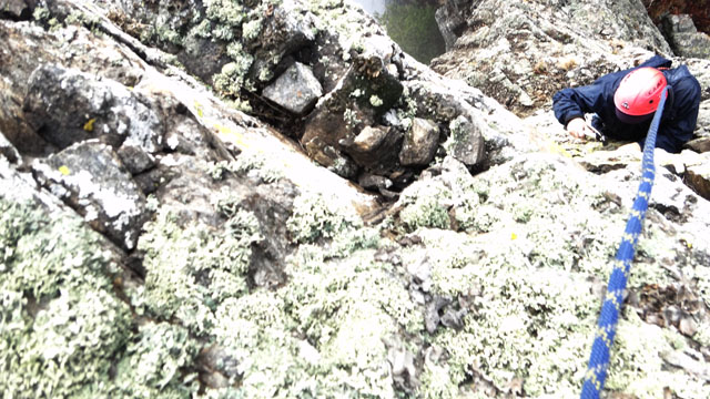 Coltii Foarfecii _blog 32