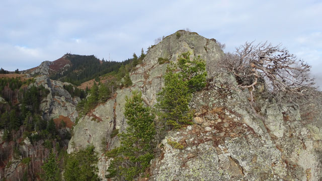 Coltii Foarfecii _blog 37