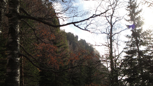 Coltii Foarfecii _blog 40