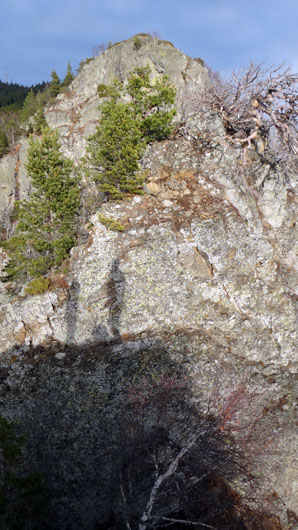 Coltii Foarfecii _blog 43