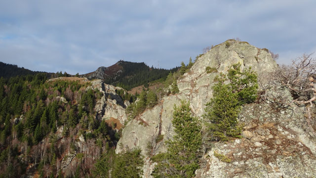 Coltii Foarfecii _blog 44