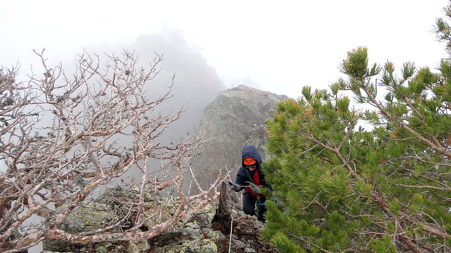 Coltii Foarfecii _blog 48