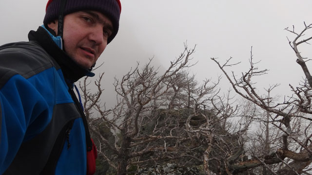 Coltii Foarfecii _blog 49