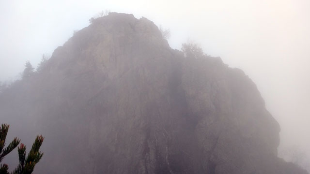 Coltii Foarfecii _blog 53