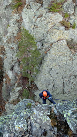 Coltii Foarfecii _blog 58