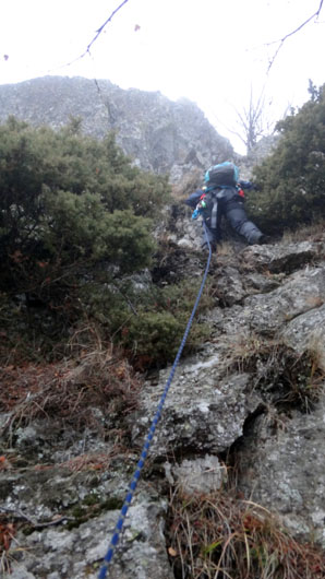 Coltii Foarfecii _blog 70