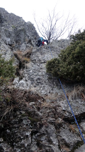 Coltii Foarfecii _blog 72