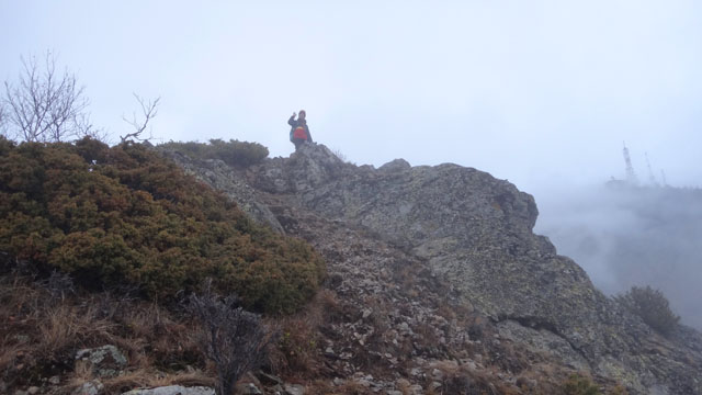 Coltii Foarfecii _blog 74