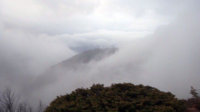 Coltii Foarfecii _blog 75