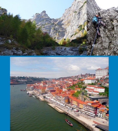 afis Schiller 24 ian 2013 _blog