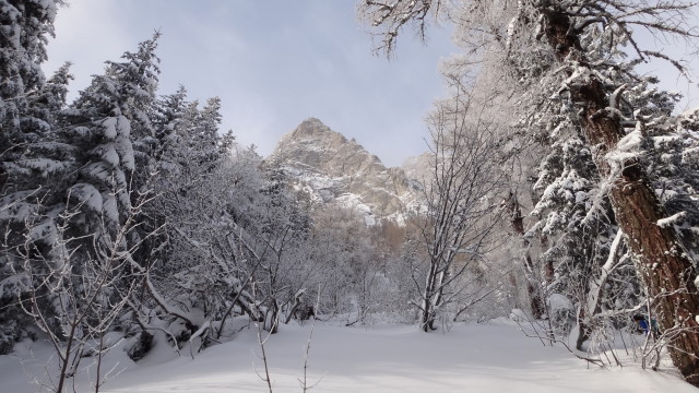 Galbinele sec iarna_blog 05