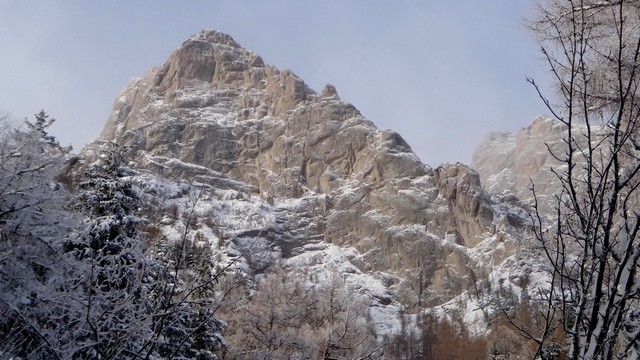 Galbinele sec iarna_blog 06