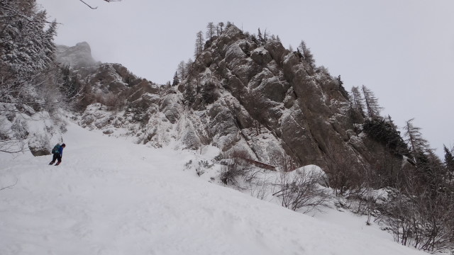 Galbinele sec iarna_blog 08