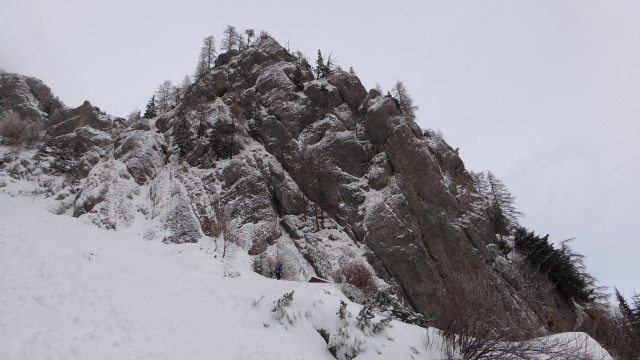 Galbinele sec iarna_blog 09