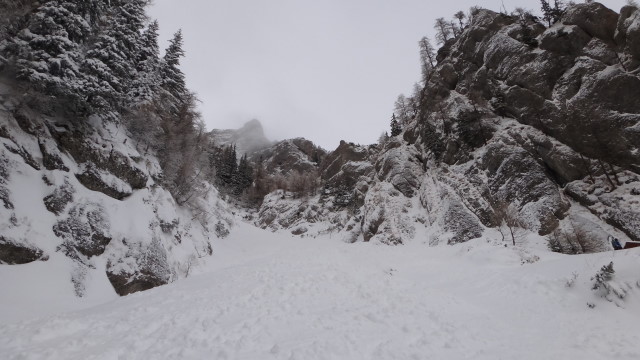 Galbinele sec iarna_blog 10