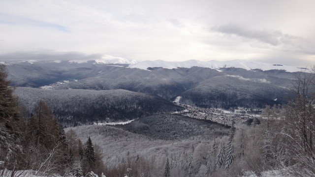 Galbinele sec iarna_blog 13