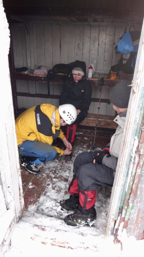 Galbinele sec iarna_blog 15