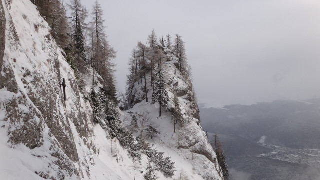 Galbinele sec iarna_blog 24