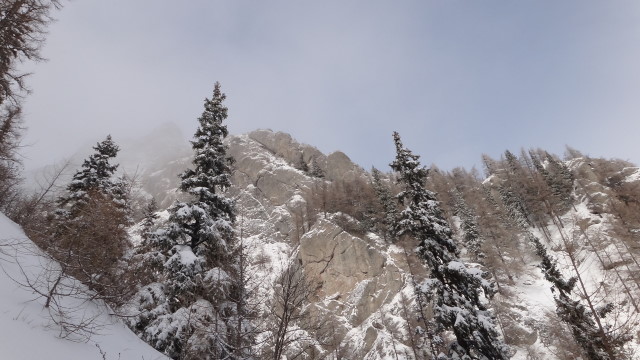 Galbinele sec iarna_blog 25