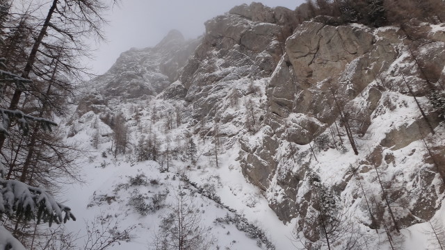 Galbinele sec iarna_blog 27