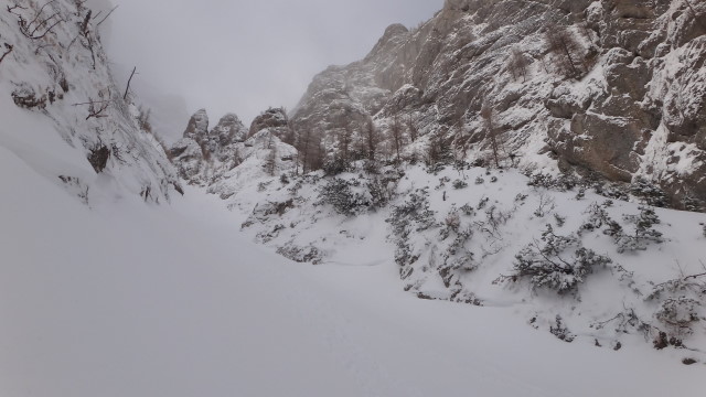 Galbinele sec iarna_blog 29