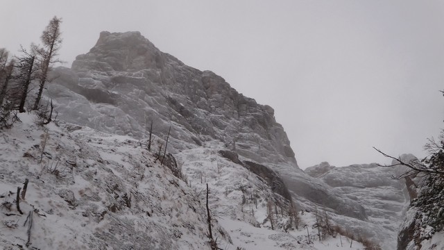 Galbinele sec iarna_blog 31