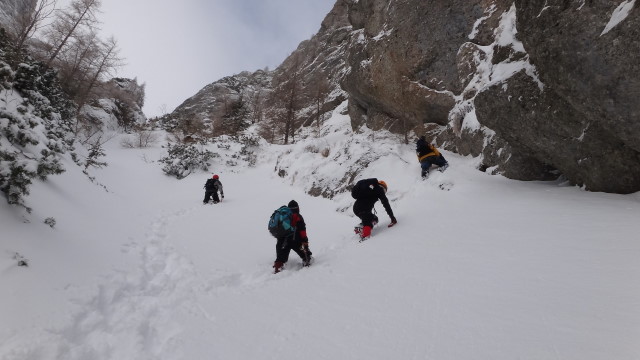 Galbinele sec iarna_blog 32