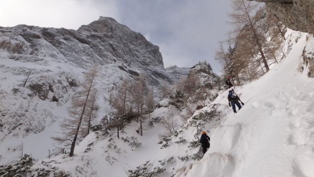 Galbinele sec iarna_blog 33