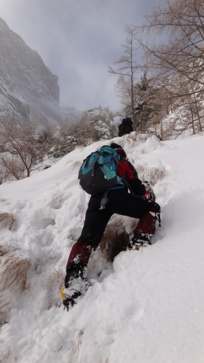 Galbinele sec iarna_blog 34