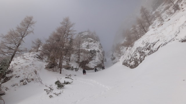 Galbinele sec iarna_blog 35