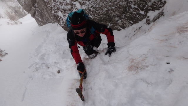 Galbinele sec iarna_blog 36