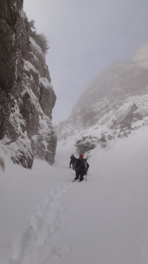 Galbinele sec iarna_blog 38