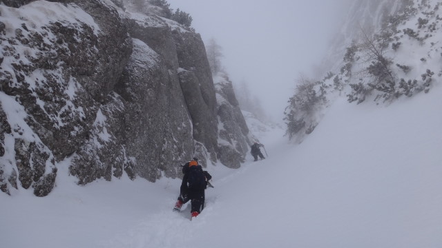 Galbinele sec iarna_blog 41