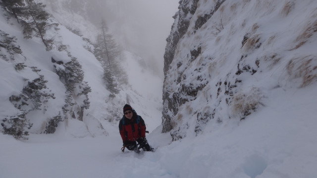 Galbinele sec iarna_blog 42