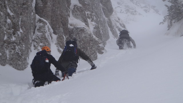 Galbinele sec iarna_blog 43