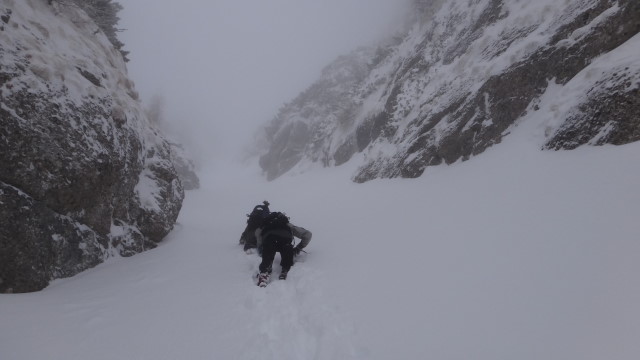 Galbinele sec iarna_blog 44