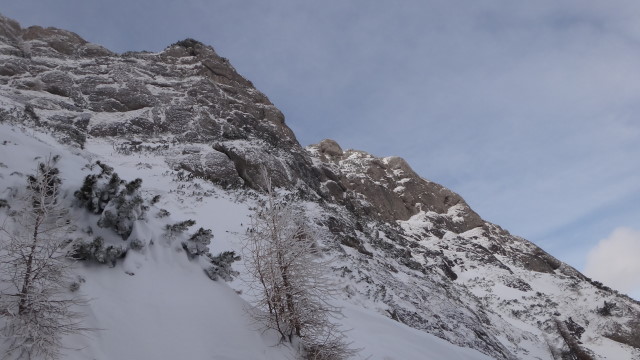 Galbinele sec iarna_blog 46